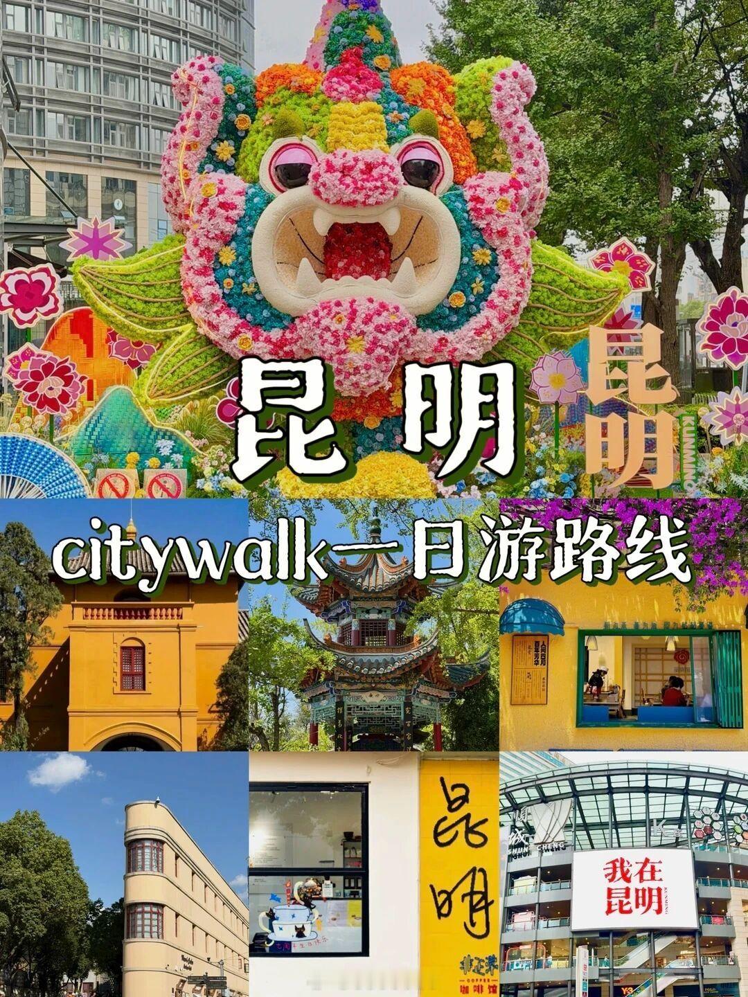 #早安街头巷尾# 如果在昆明只呆一天，复制这条路线就够了！🌿暑假来昆明避暑的小伙伴好多！喜欢在市区city walk的请收下这份本地人整理的一日游逛吃路线，超轻松～ 

1️⃣上午路线：云南大学—文林街—讲武堂—翠湖公园—黄公东街—非正常咖啡馆 
📷探店：橡皮书店、纸布石书店、非常不艺术商店、 ​