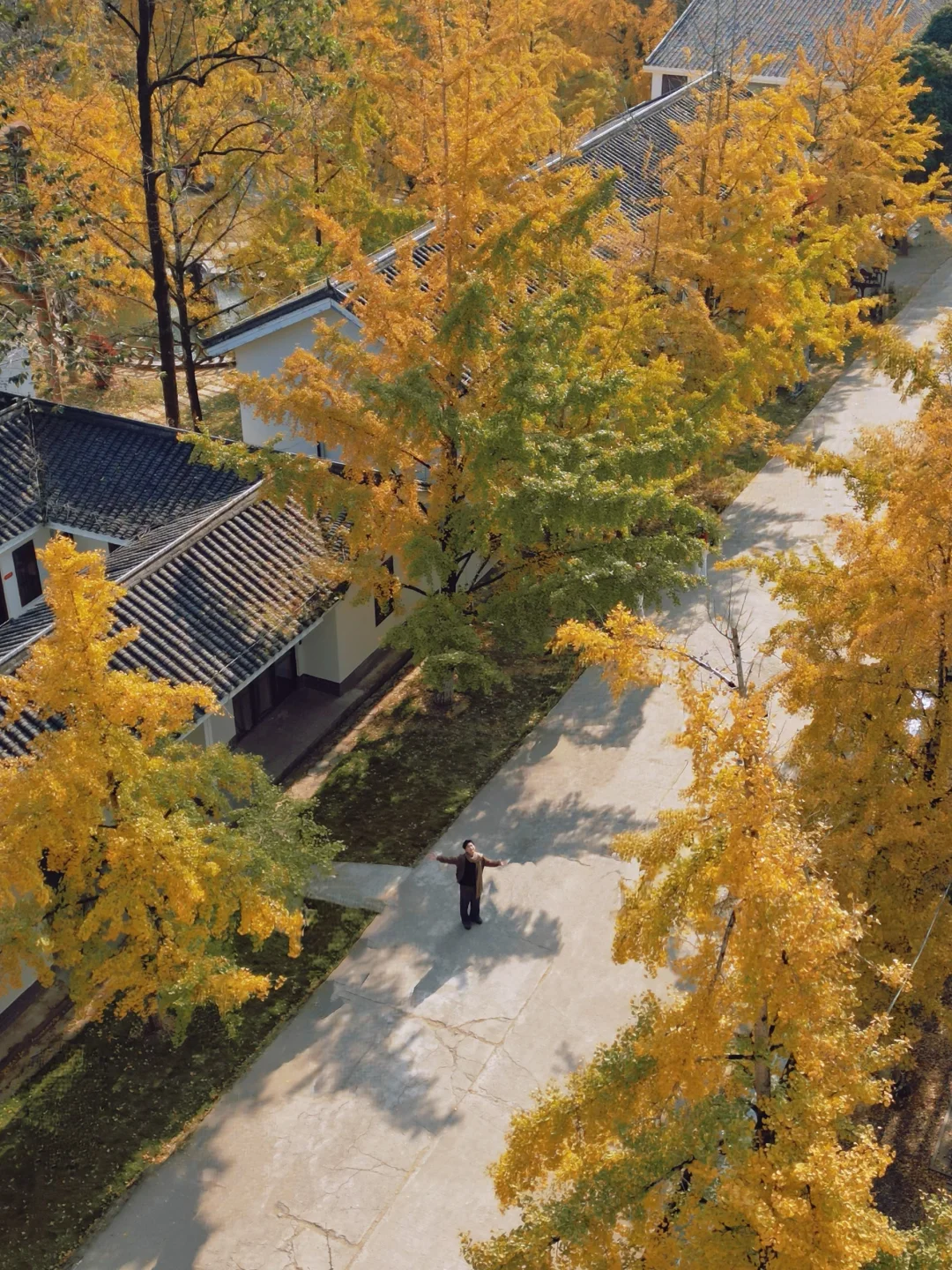 广东！！！！你不宣传这个！！糊涂啊😭