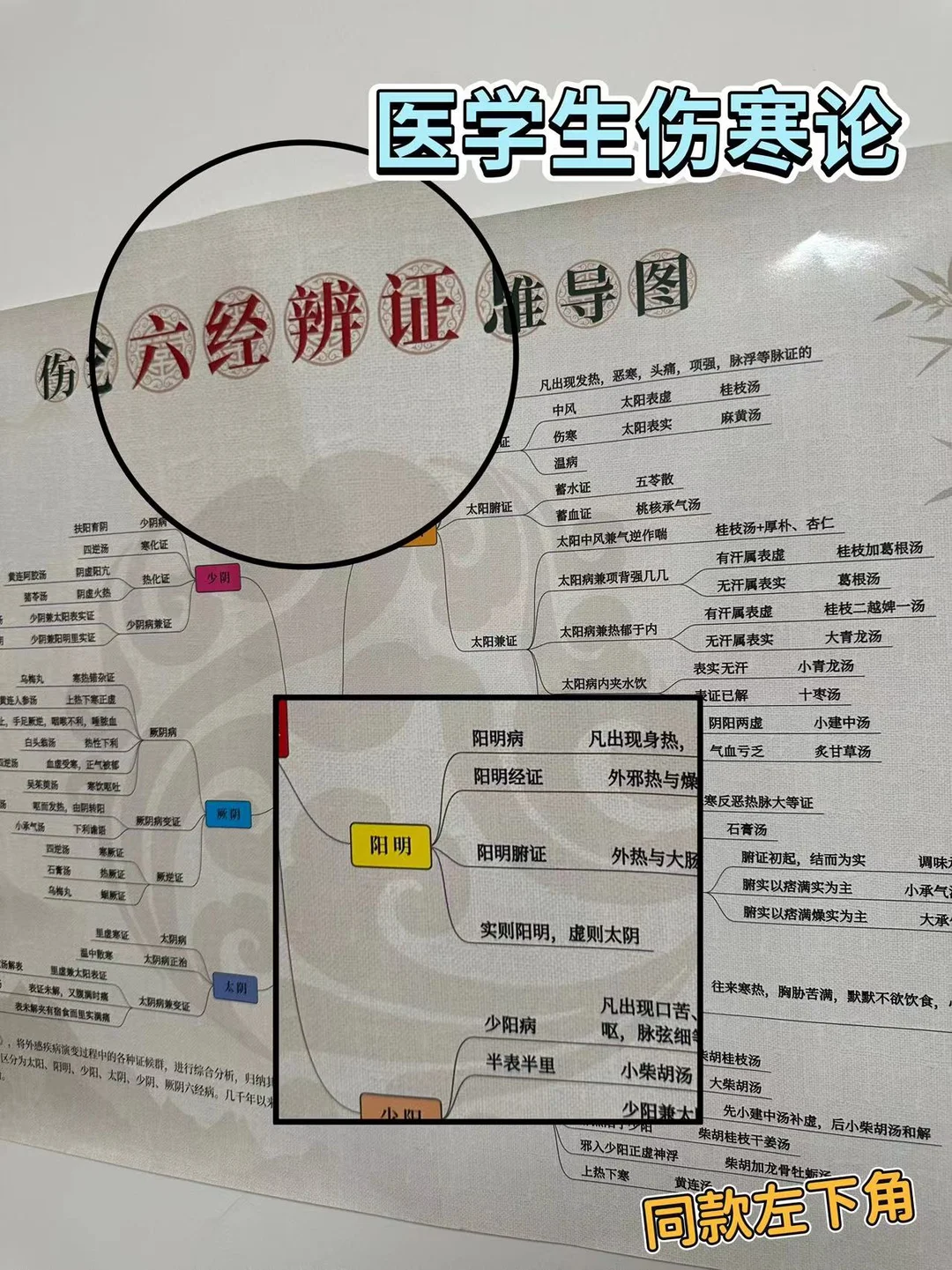 医学生规培之伤寒论