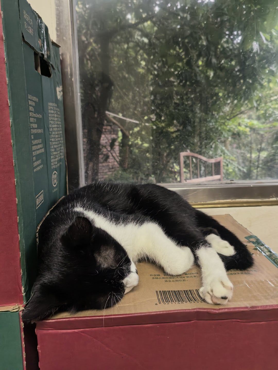 少说话，多（   ）。 养猪 做事 学习 赚钱  靓仔，你怎么看？ ...