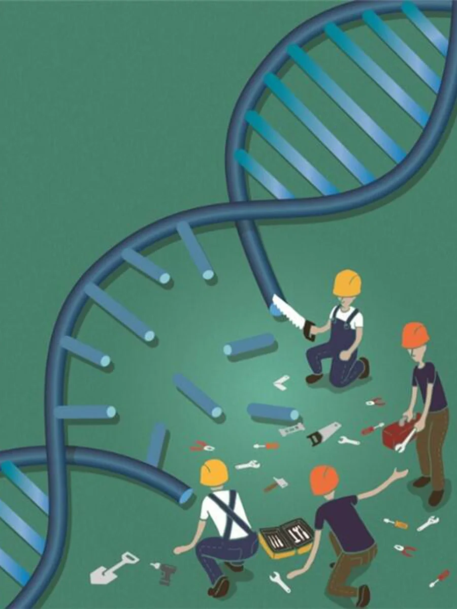 研究实锤：困了还不睡，DNA易报废✂️