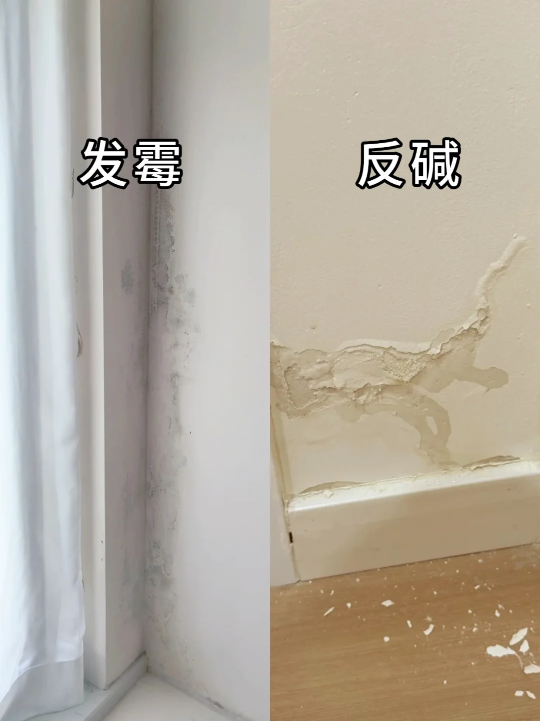 发霉 VS 反碱，90%业主都白花钱了！