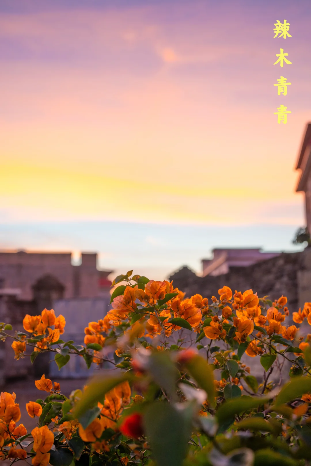 Life is bright, and everything is adorab