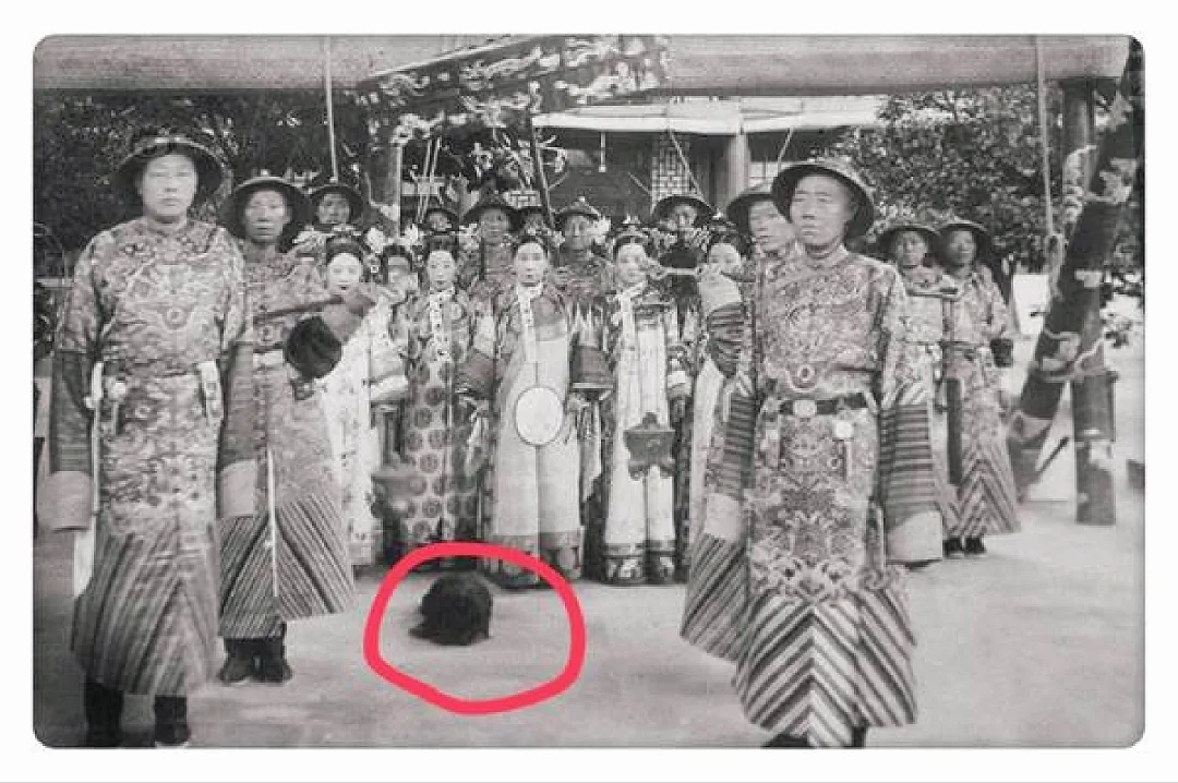 据说慈禧养了一千多条狗，还给狗发工资！