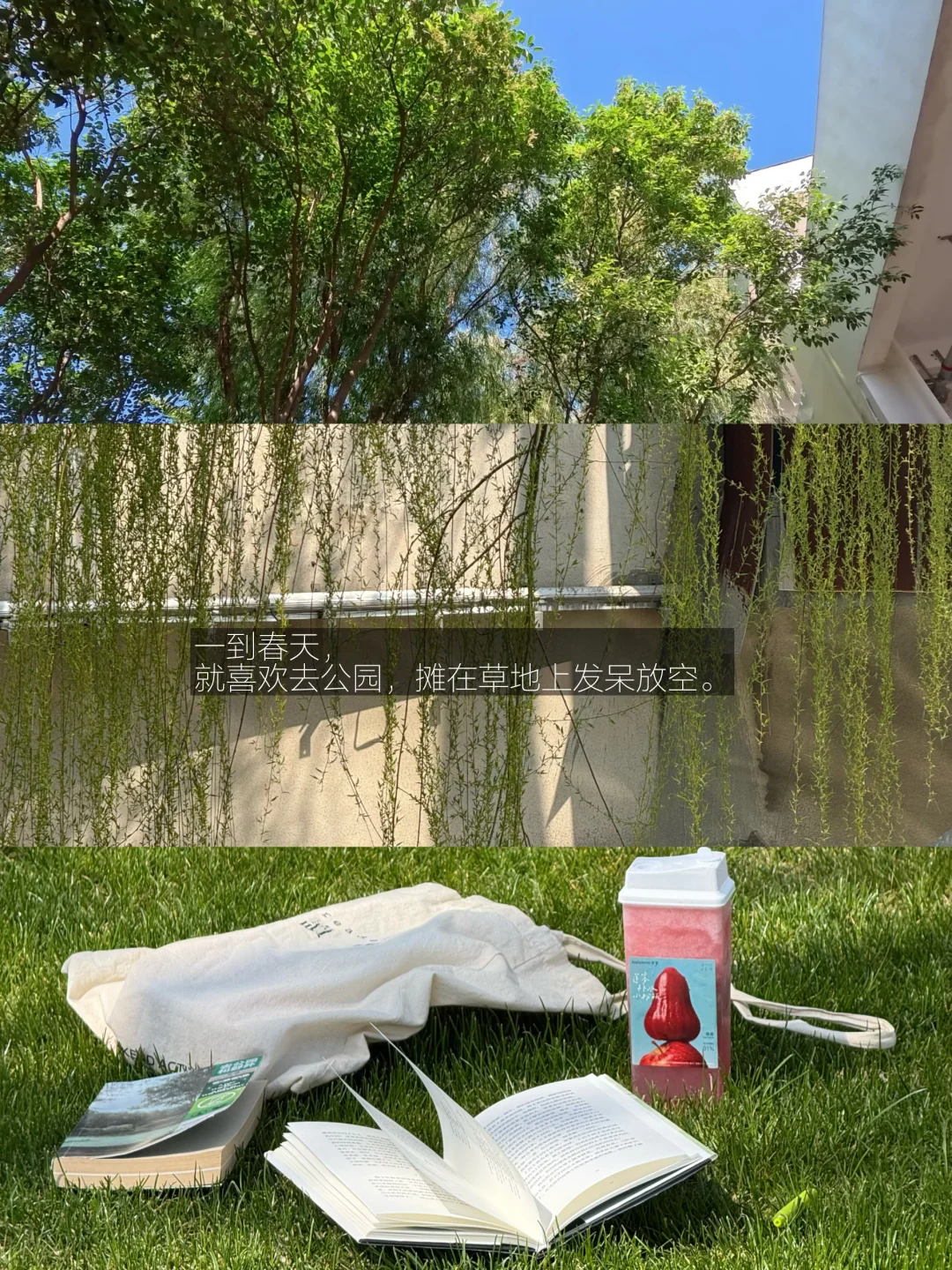 人一定要为微小事物而雀跃。