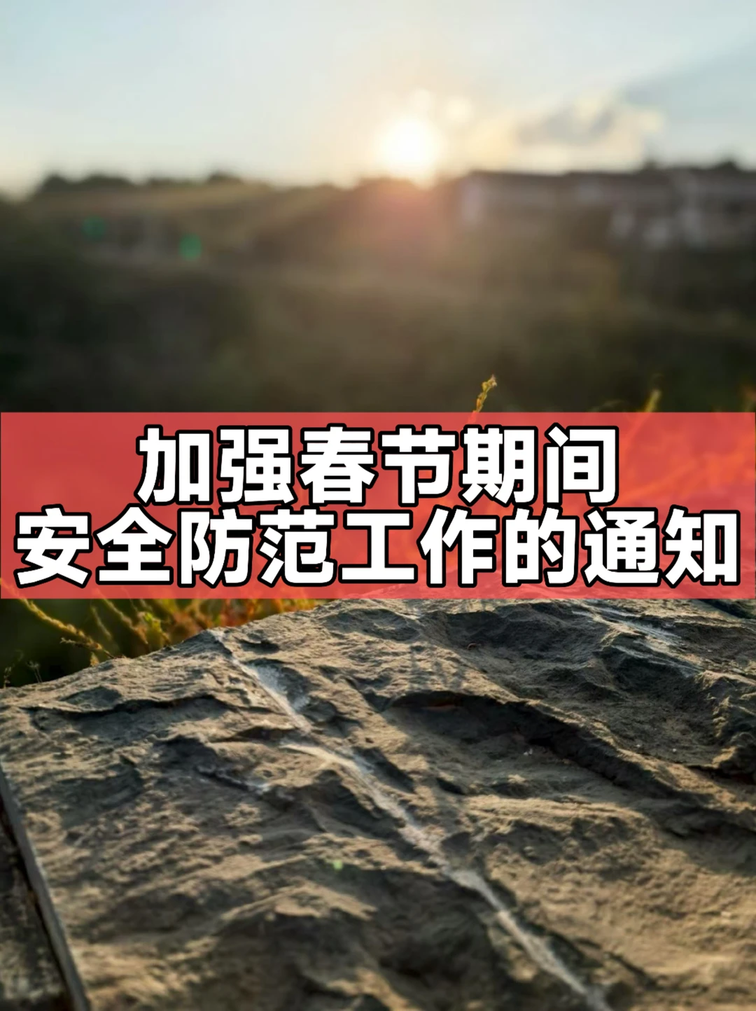 体制内：加强春节期间安全防范工作的通知