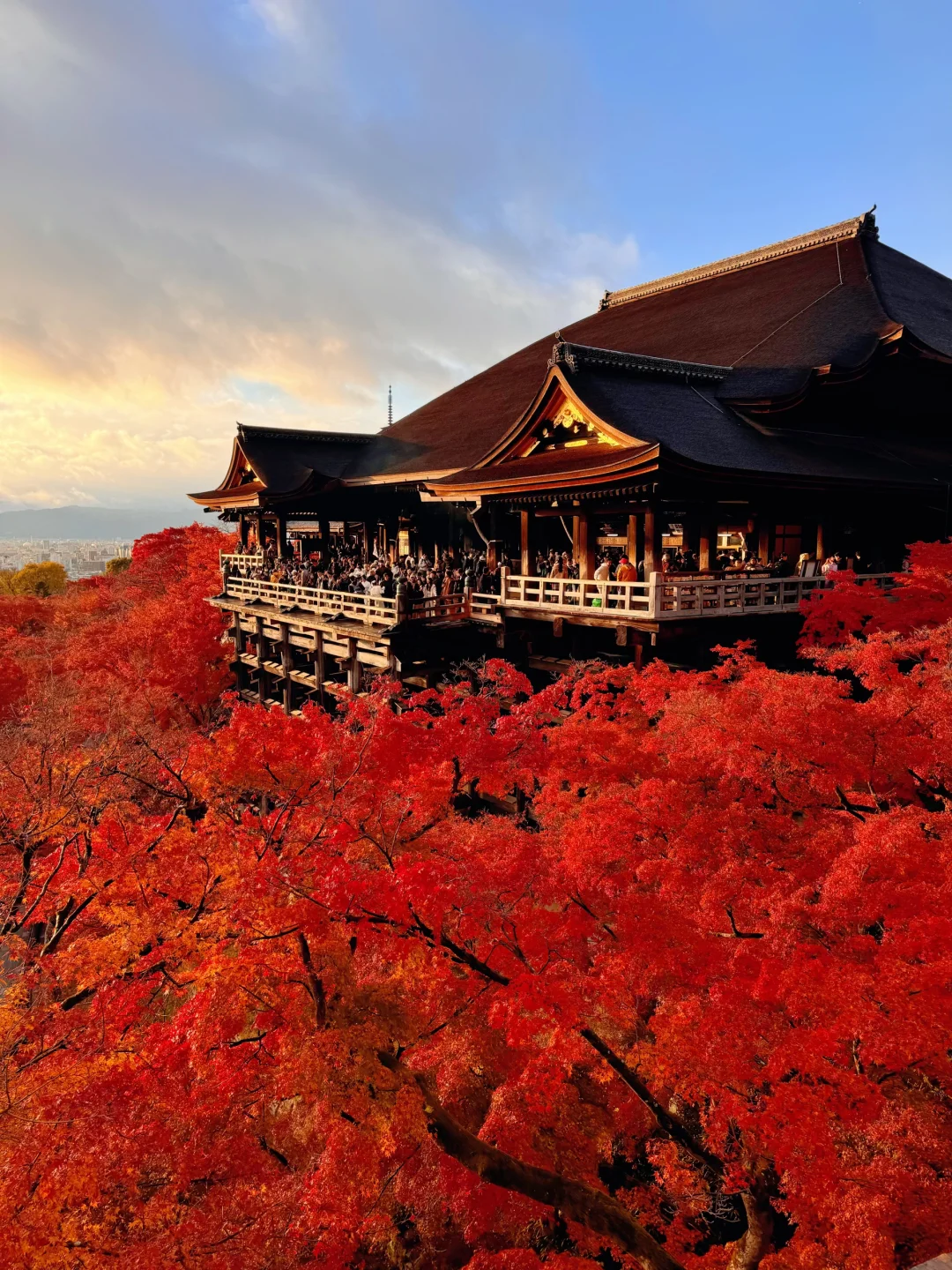 对京都的秋天祛魅不了一点🍁打工人周末48h