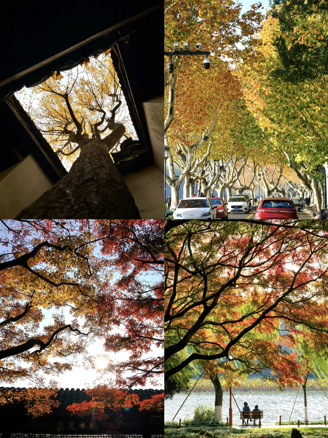 你真的可以永远相信🍂12月的北山街‼️