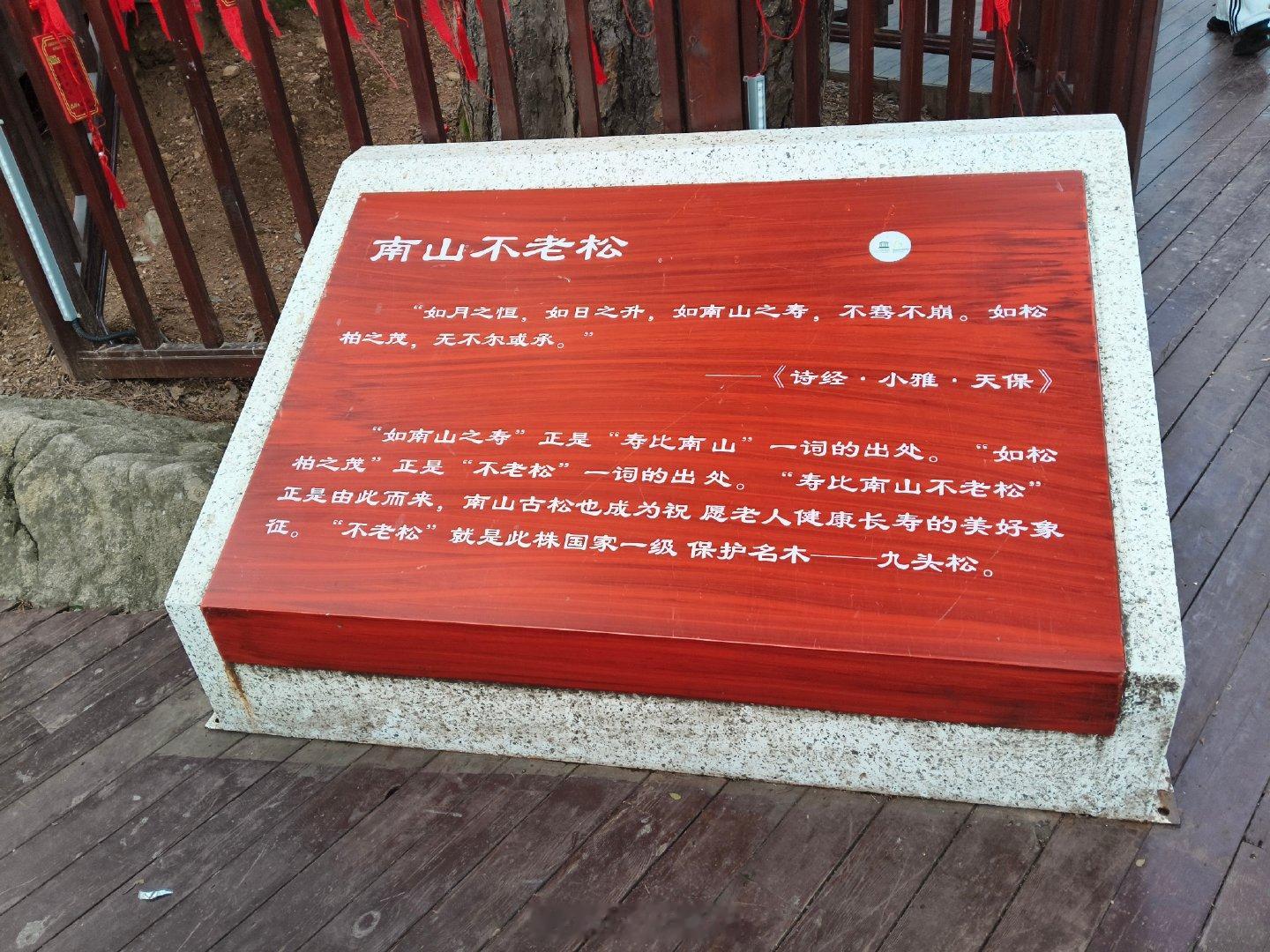 终南山下，活死人墓，神雕侠侣，绝迹江湖！小龙女，这是我与你的十六年[么么哒] ​