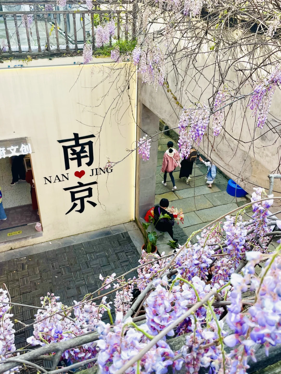 99%人不知道的老门东紫藤花拍照机位！🔥