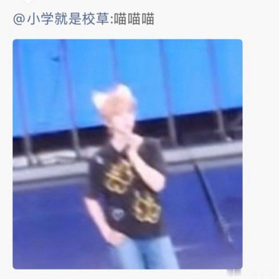 🌿nm 捞起不是侏儒兔塑吗凭啥给他戴猫耳朵 而且还是只给捞起戴了头饰...