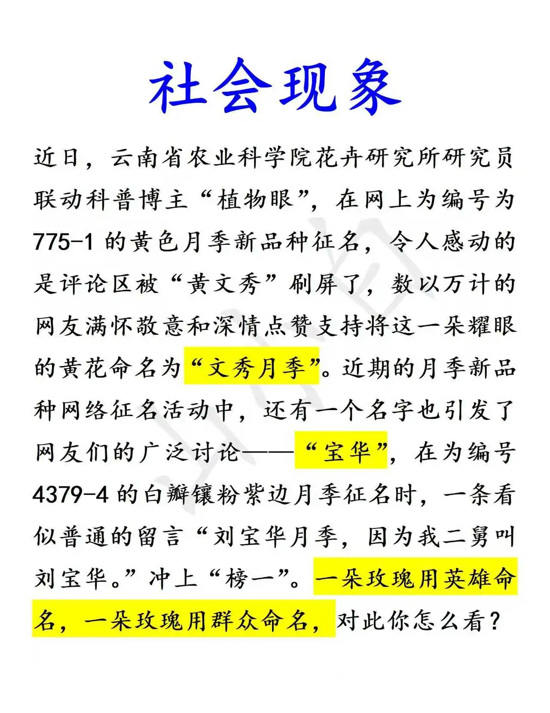 社会现象｜文秀月季与宝华月季给我们带来？