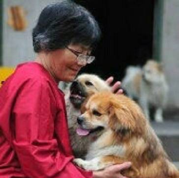 魏阿姨和她的孩子们