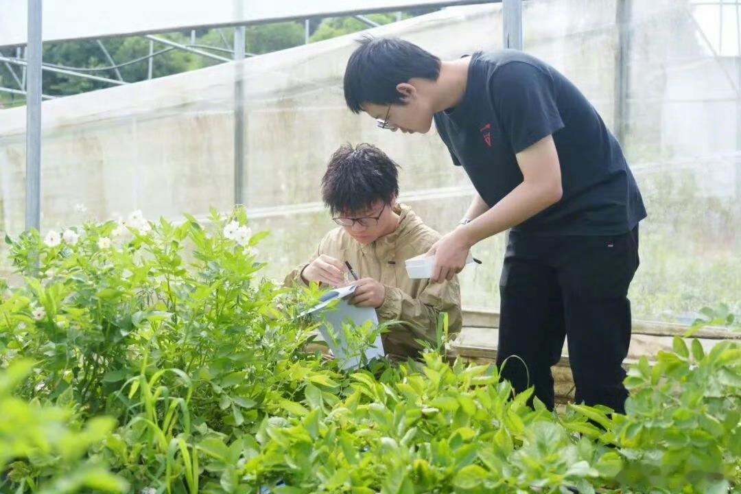 #青春扬帆新时代#【华中农大600余支团队奔赴全国各地，在盛夏绽放青春】这个盛夏，600余支社会实践团队，从狮子山出发奔赴全国各地。他们通过非遗科创课堂，让乡村学子感受土家族传统文化的独特魅力；研发AI智慧食材管理工具，破解市场、社区食品安全与食材损耗难题；深入黑水虻功能性宠 ​