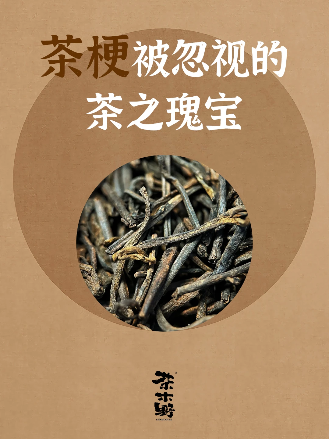 知识分享丨茶梗，被忽视的瑰宝