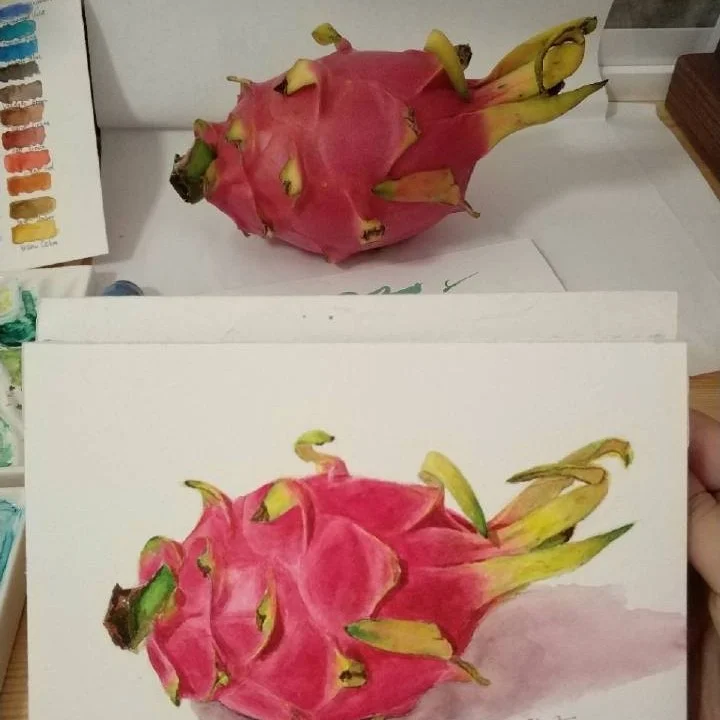 水彩火龙果
