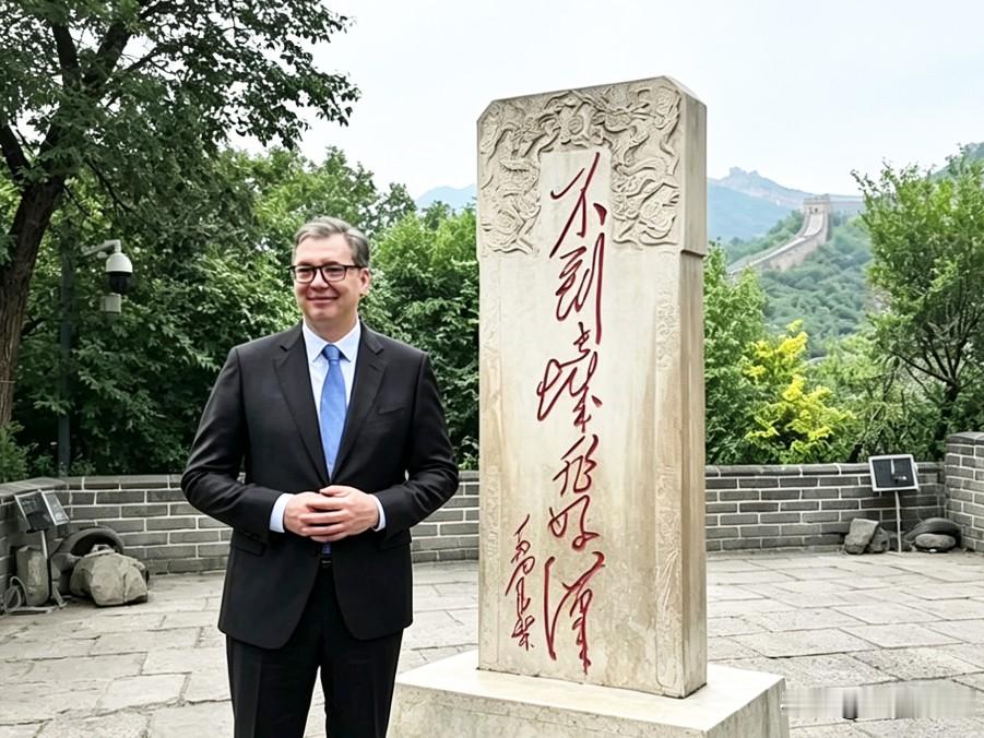 武契奇总统任期最后一天深情祝福中国！在感动的同时，千万别忘了理性看待这件事情。

因为很多人情绪激动，就容易忽略掉一个关键的现实问题。他并非功成身退，而是主动选择放弃总统这个礼仪岗位，去竞选手握实权的总理职位。

须知，塞尔维亚是议会制度，只有国家的总理才真正掌控财政、基建、对外合作的核心权力。然而
