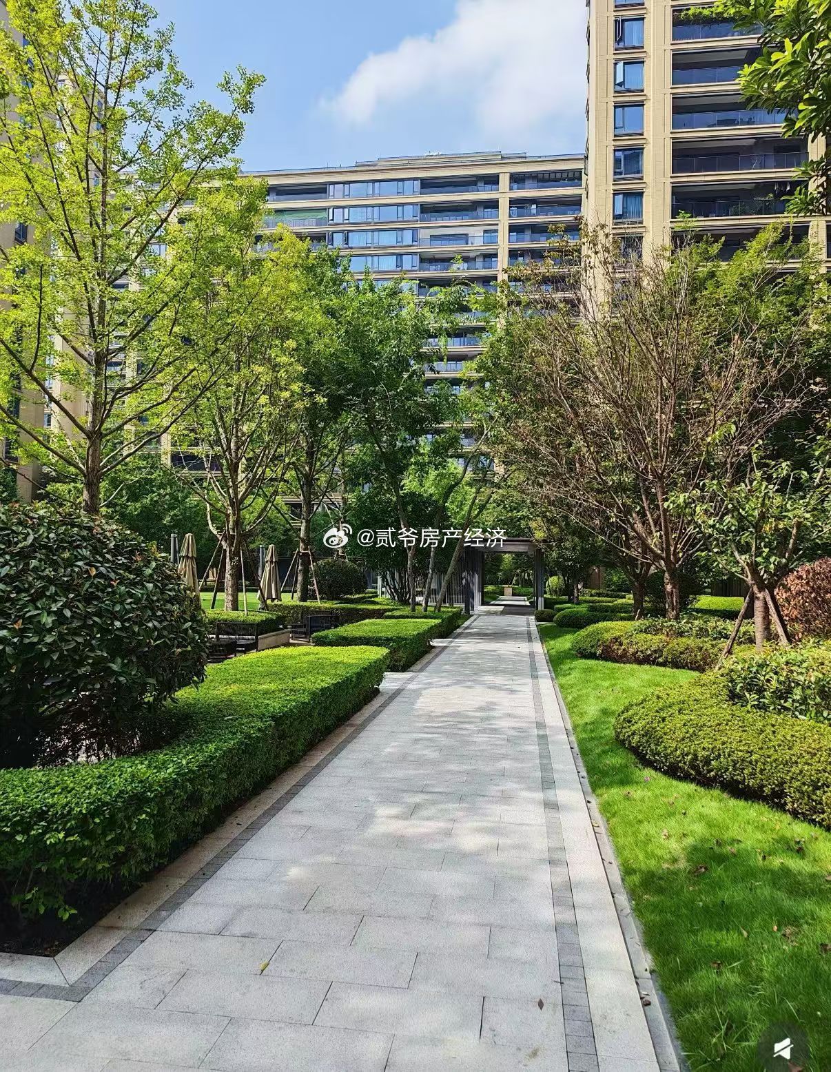 《诚园一期》楼王大平层 同小区最低价✅中庭楼王位置，视野采光拉满✅建面189㎡改善大四房，尺度感拉满✅绿城物业，居住体验在线✅小区同户型历史最低价，3字头，粉丝诚心出！ ​​​