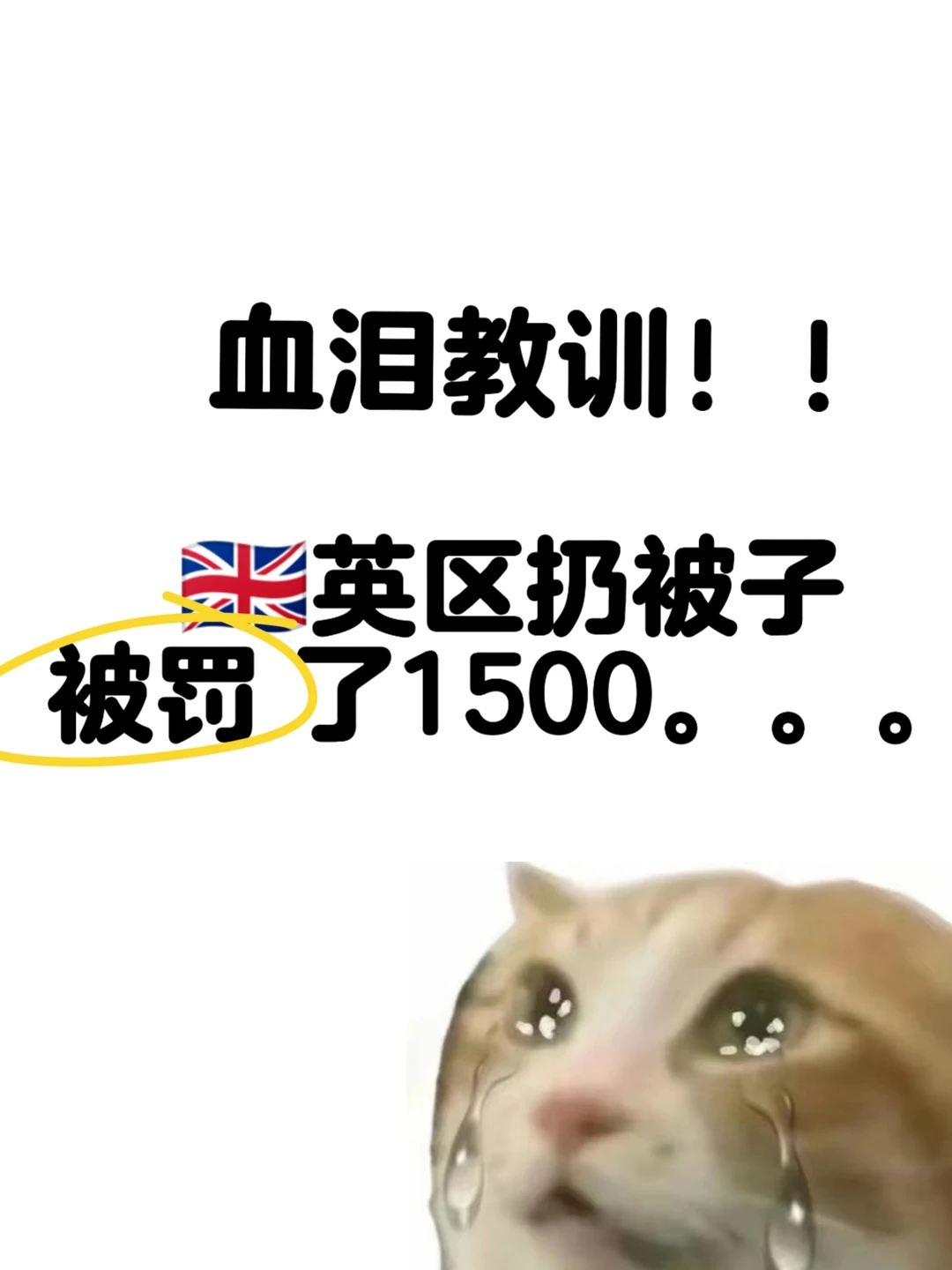 已老实！英国扔被子被罚1500！！