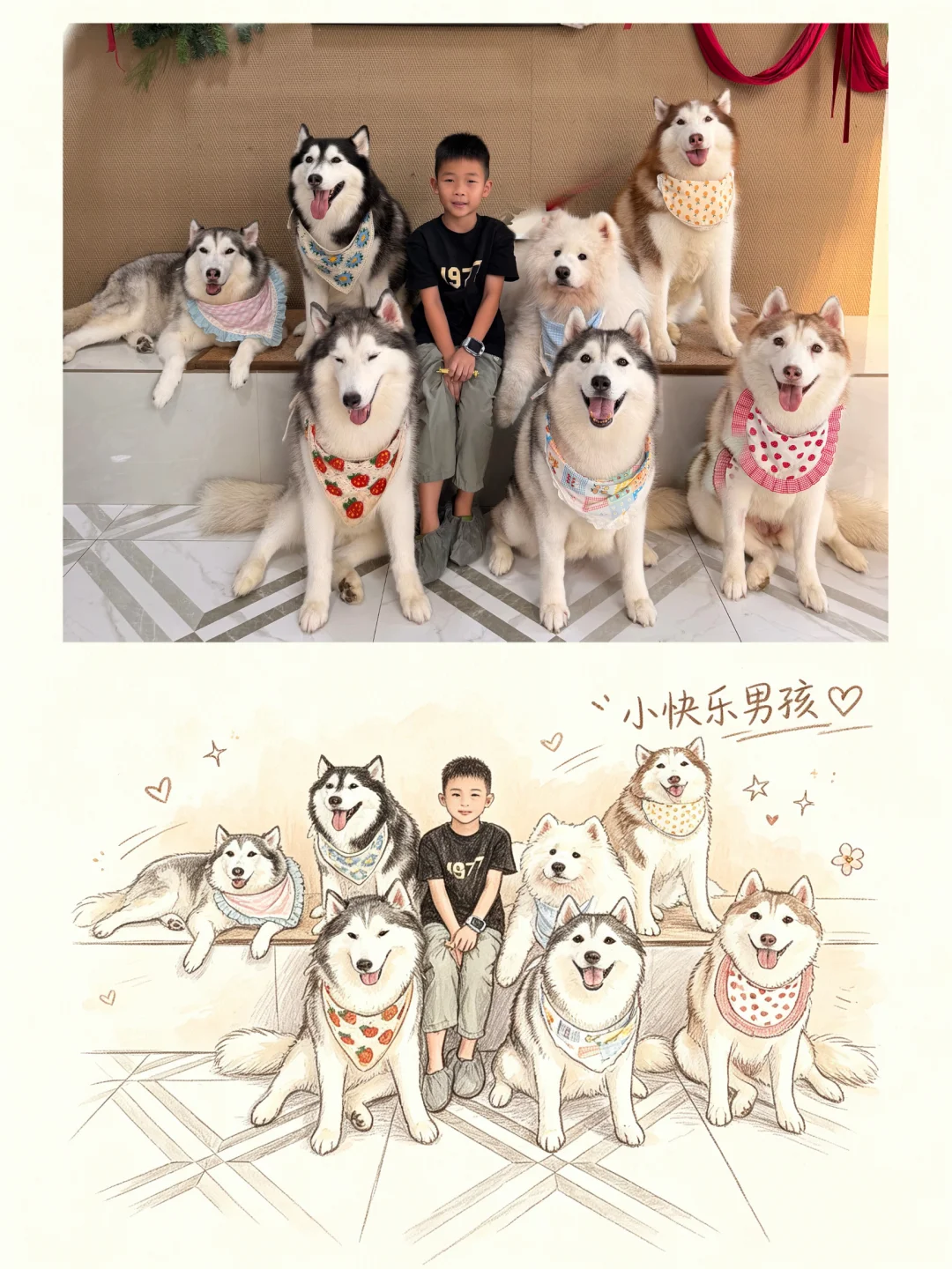 我爱狗咖！狗狗们都养的好好！！