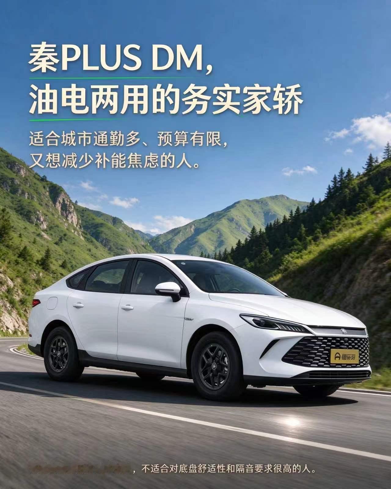 秦 PLUS DM，油电两用务实家轿