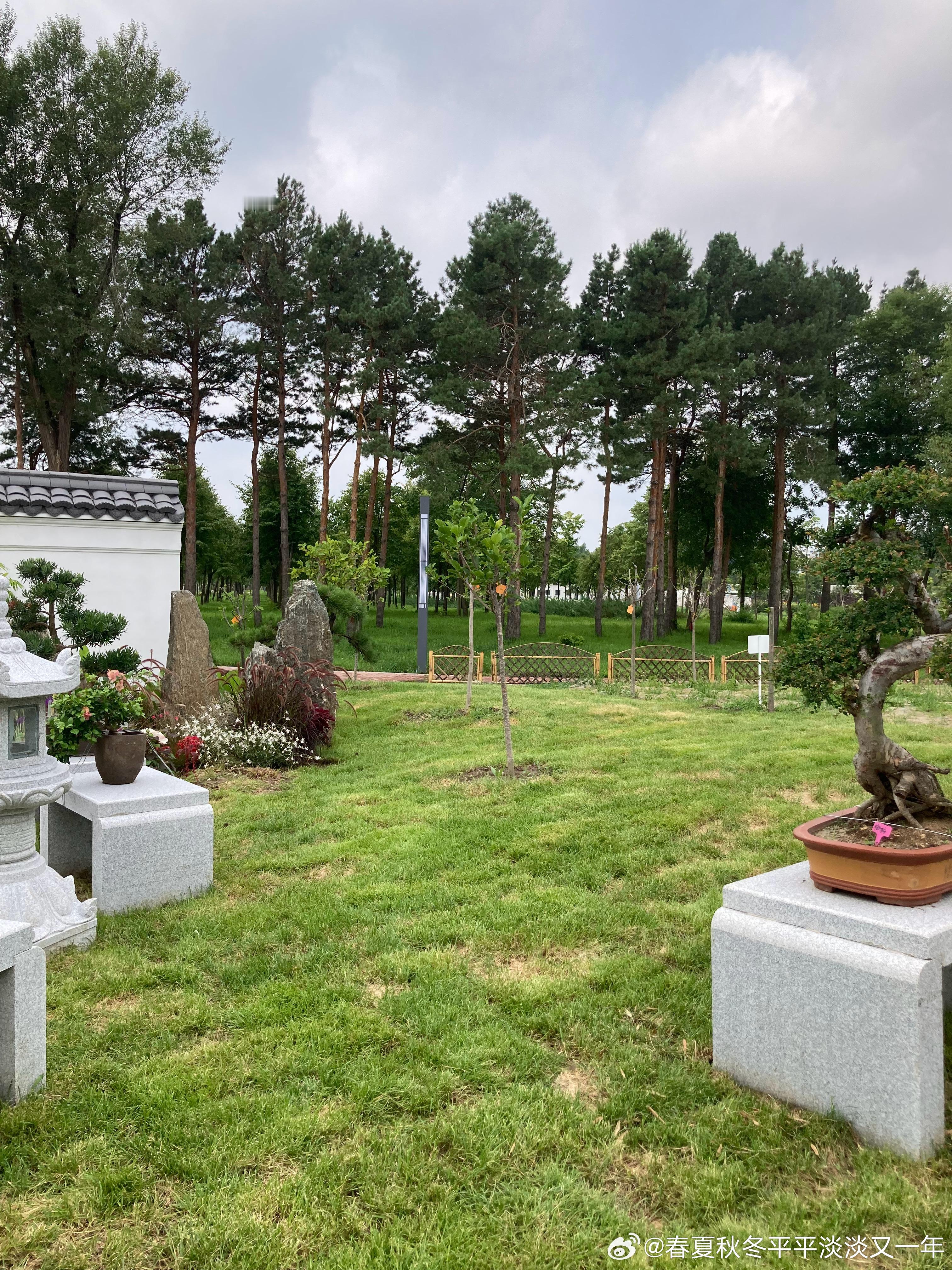 《来自山西的讯息✉️～植物园印象🍂7》美加墨世界杯之后🏆，这段时间...