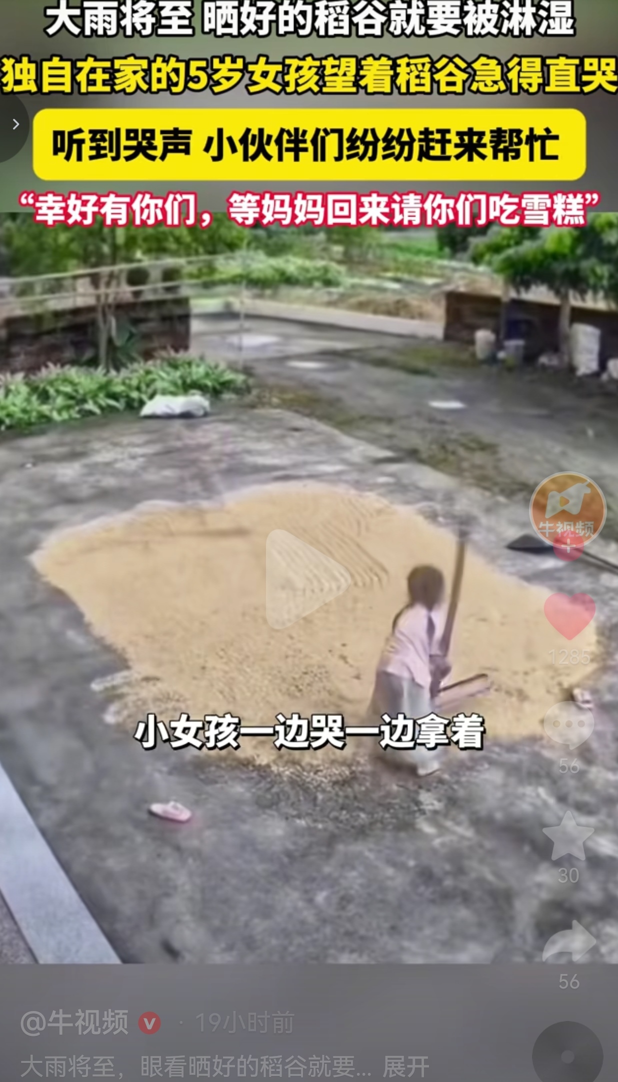 最近，广东一个乡村发生了这么一件事。大人全都出门干活，家里只剩下五岁的小姑娘一个人在家看家。
 
农家的大院是水泥地，院子里摊着刚晒好的稻谷。这天天气说变就变，天边乌云一下子聚拢过来，眼看着一场大雨马上就要落下来。
 
庄稼人都清楚，晒好的稻谷一旦被雨水淋透，这一年辛辛苦苦种地的收成，就要受很大损失