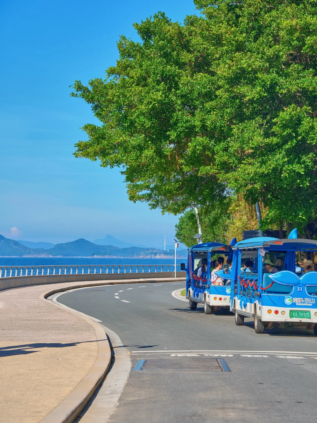 深圳看海天花板🌊被这条绝美海岸线治愈到了
