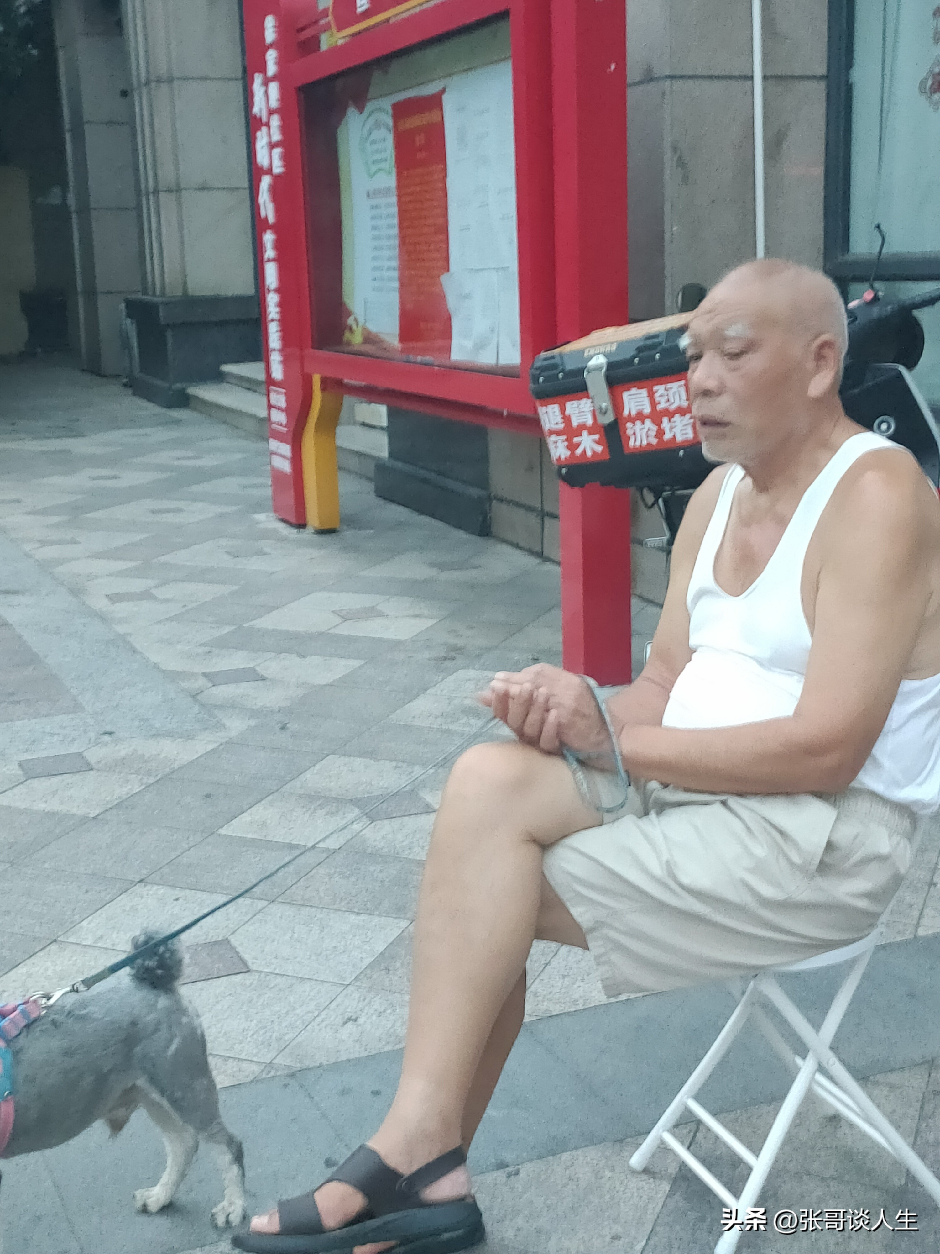 印度莫迪在宜昌遛狗？中印莫迪 
这个老人特像莫迪：长像、身高、年龄。我多次说给他拍个照片，他一直不允许。
今晚我在广场摆摊，这老人又出来了，手里牵着他那只雪纳瑞，并主动和我交谈。
他终于同意我拍照。
哂晒这位老人，他比莫迪悠闲多了。生在中国，老人有所养。人与人之间没有等级差别。街上没有“牛神”，