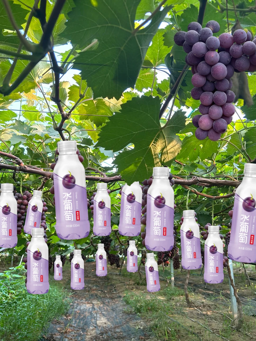 求你们了，这个真的好喝到爆炸！！！！！！