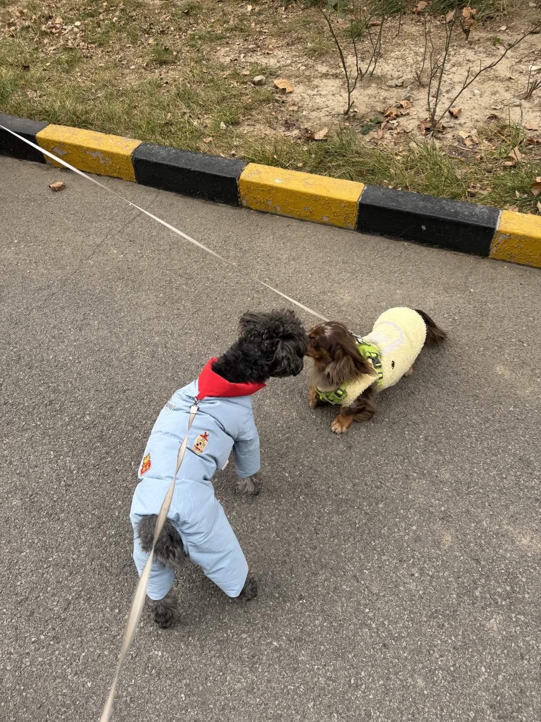 遇到最爱的肠肠了