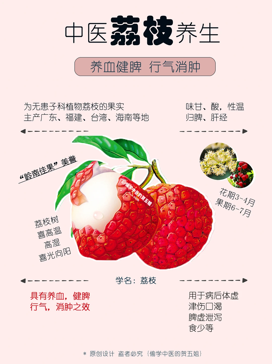 29养生课堂📝荔枝·🌿养血健脾 行气消肿🧡