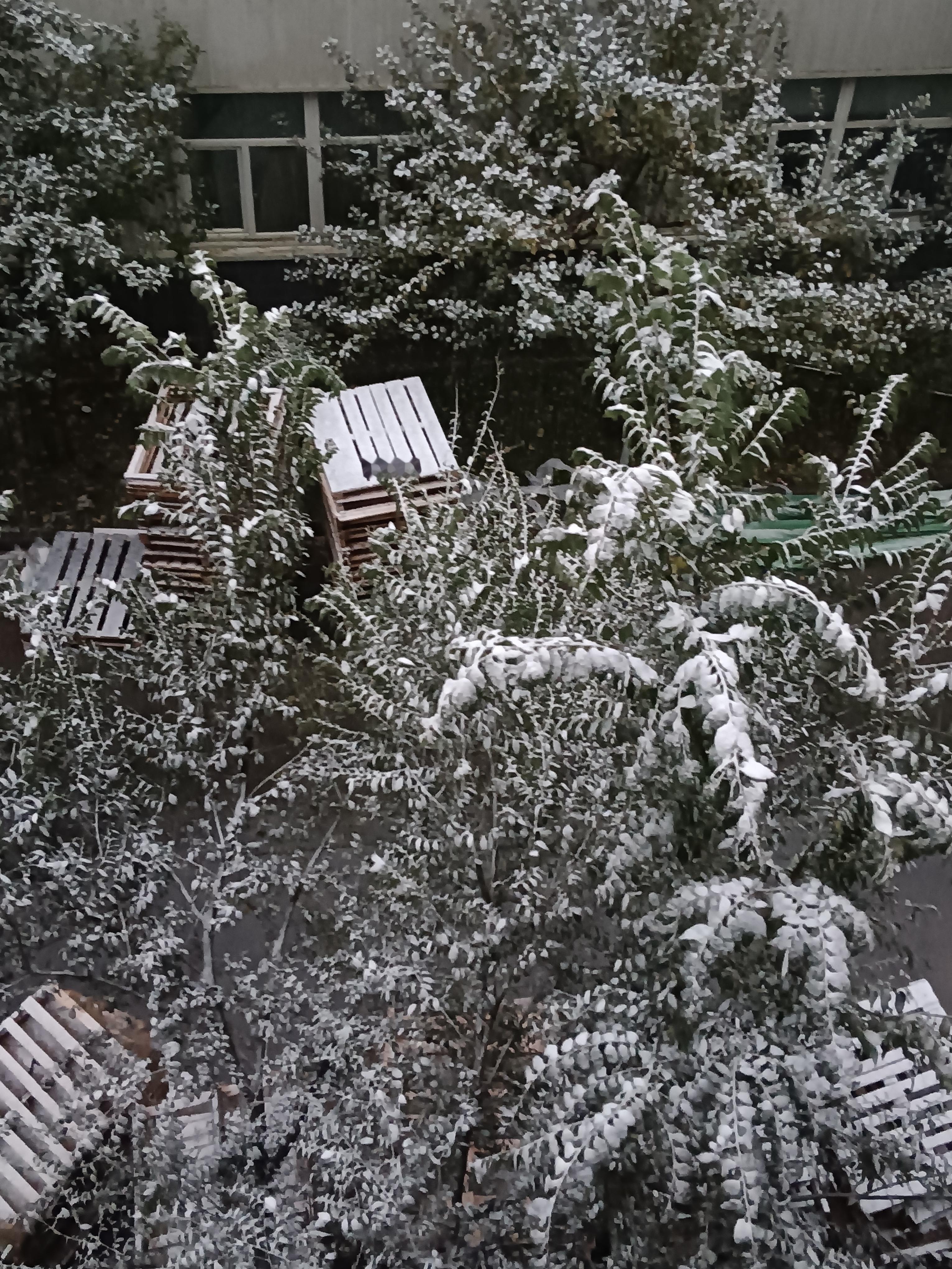 今日分享随手拍照片乌鲁木齐的初雪