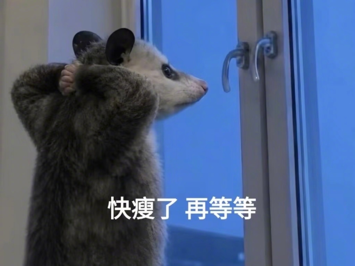 等习惯了瘦子的生活方式以后，就会觉得减肥没那么痛苦了，自然是越减越轻...