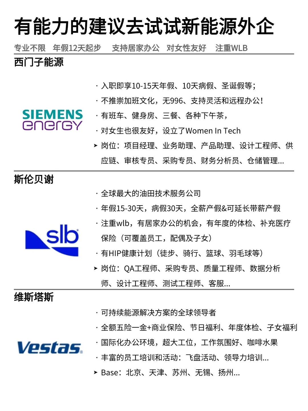 有能力的建议试试：新能源外企