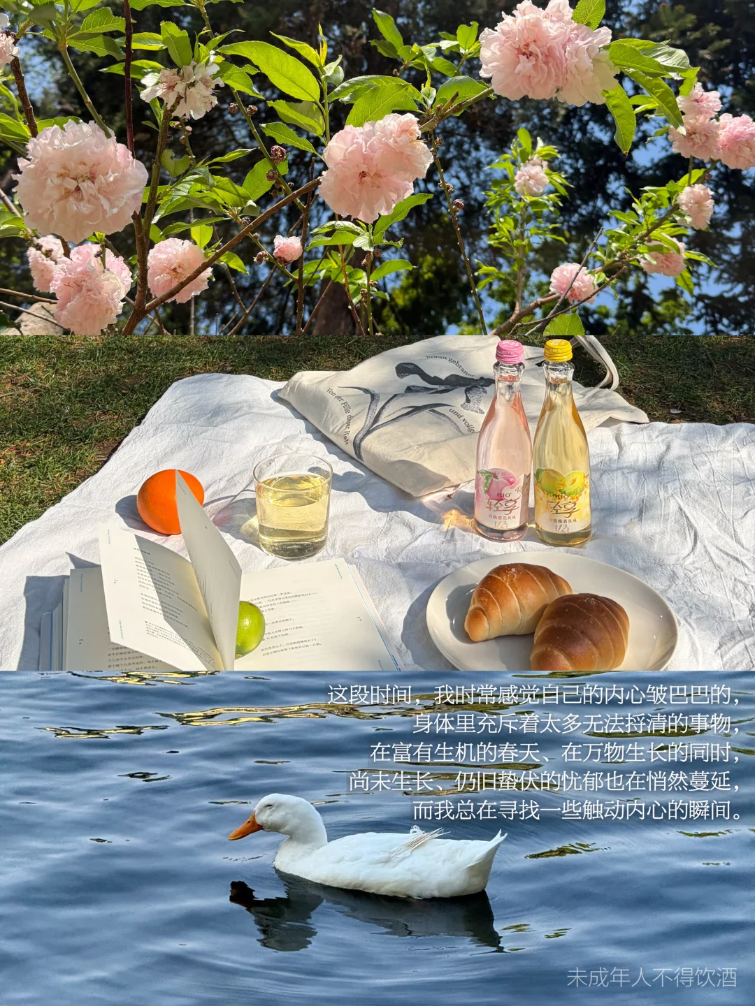 只要还能感受到被某个瞬间触动，我依然鲜活