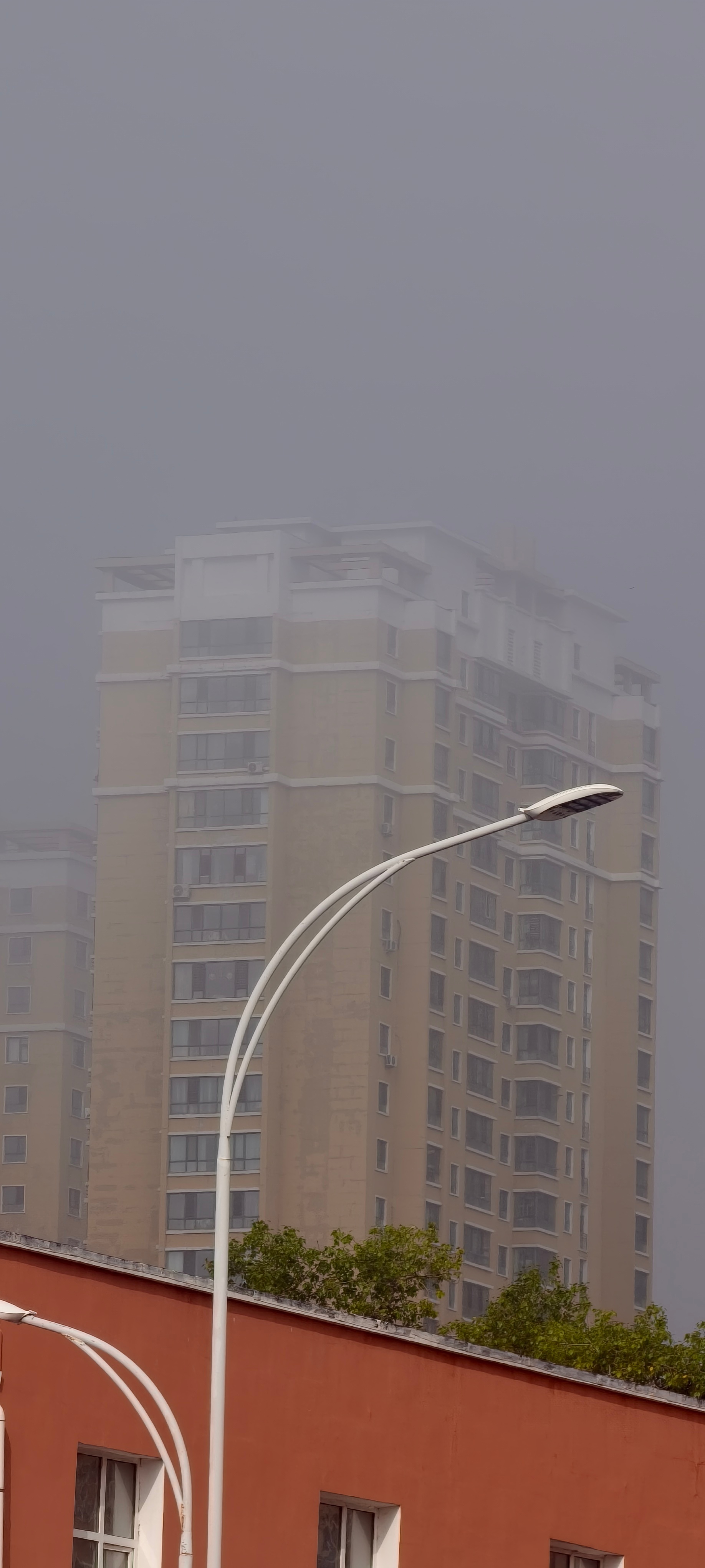 这咋还起雾呢 ​​​