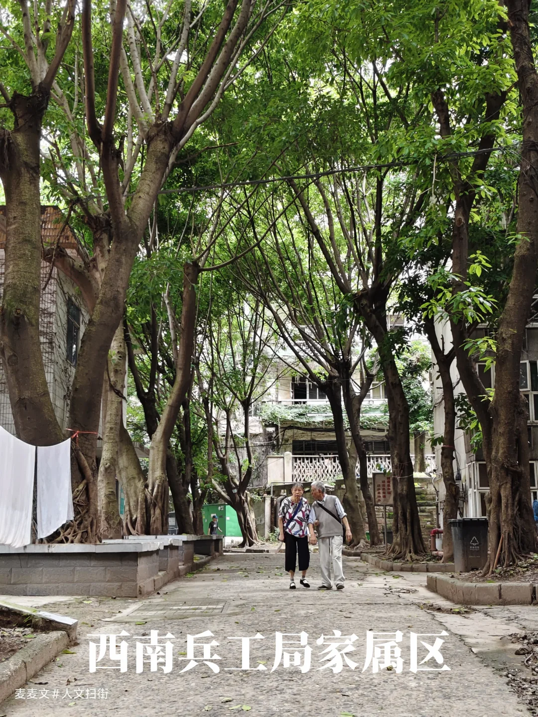 【九龙坡】硬核老社区~西南兵工局家属院