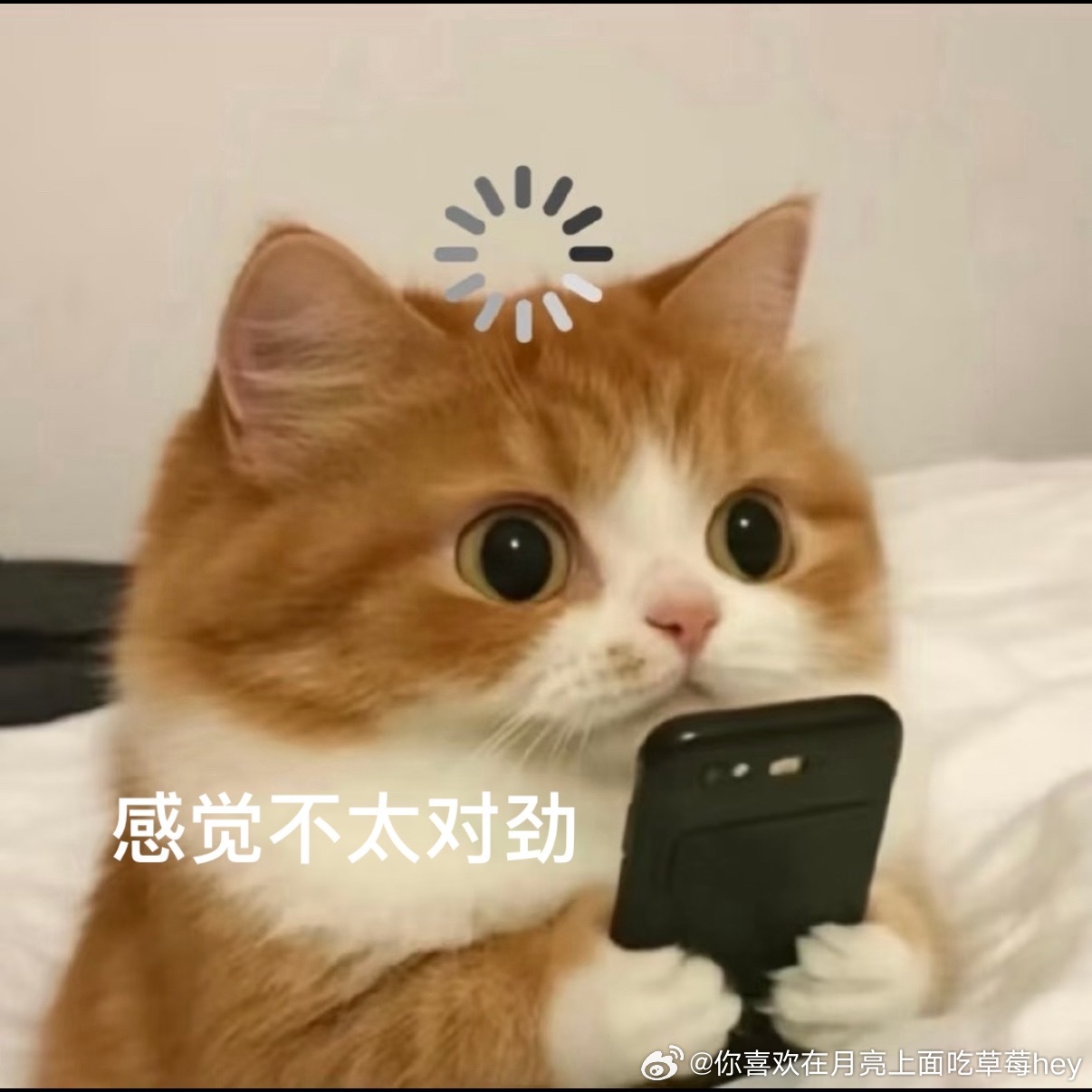#短剧# 今天的熟人局 有能看的吗[柯基]

1、靳旺x常丹丹｜教授假斯文                                      

2、时康x梁雯晶｜春山喧                                             

3、黄宥天x王云云｜大渝筹算师:我和皇子定下AA婚约       

4、梁思伟x朱芝琳｜越界贪欢                          ​