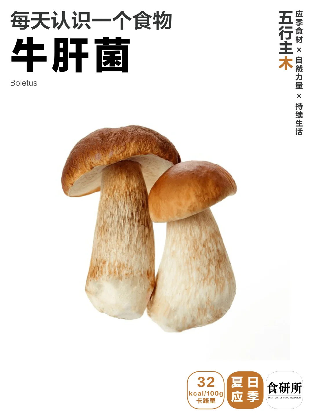 云南夏日 | 丘北辣椒炒牛肝菌