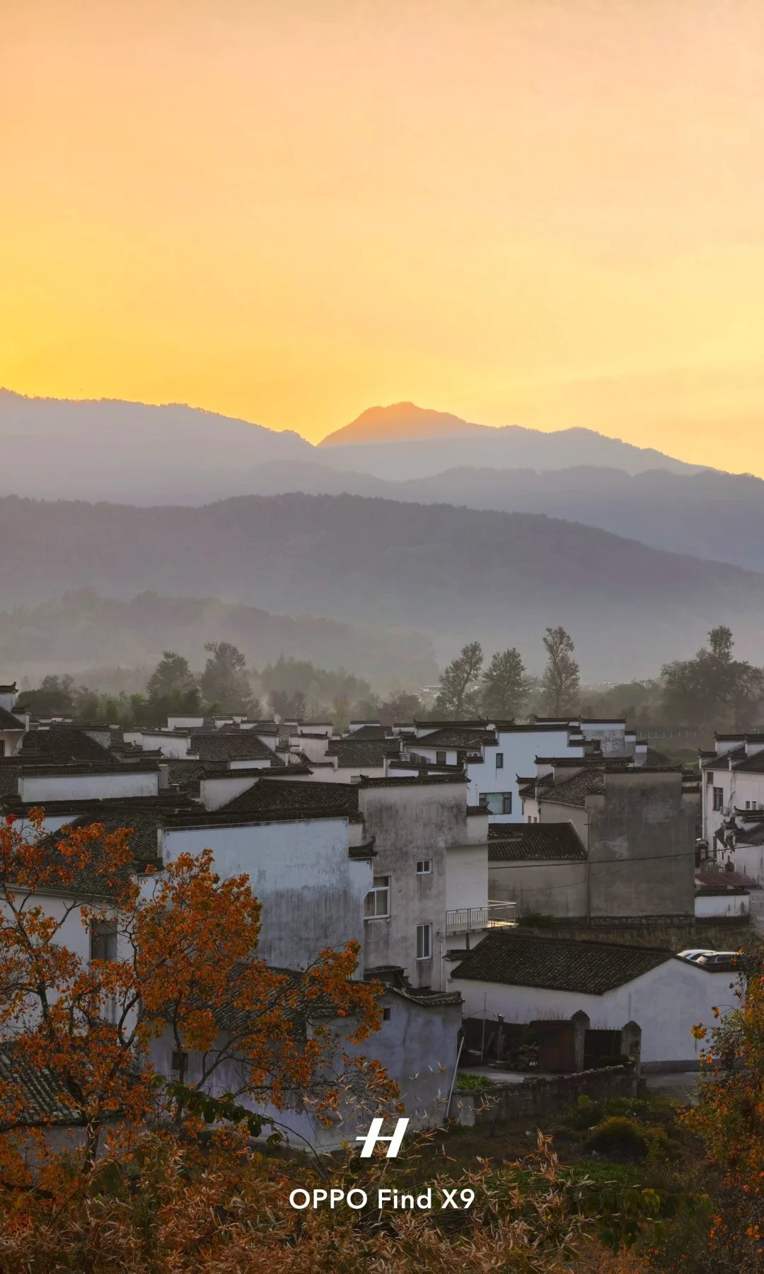 8K全屏直发❗定格《国家地理》最美古村秋色