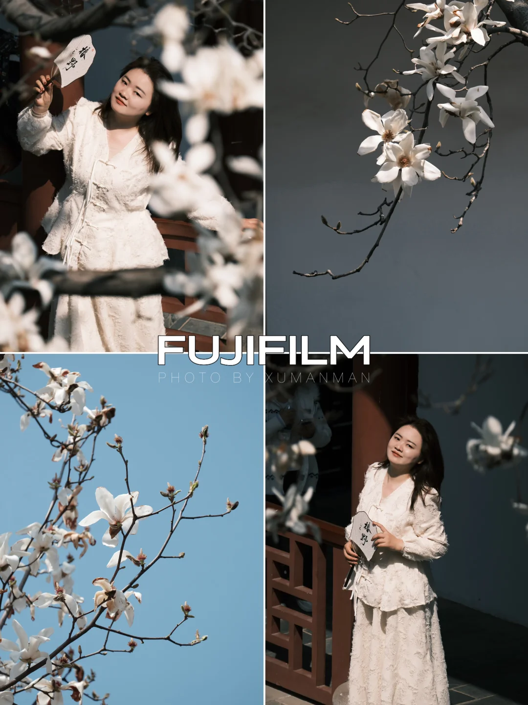 FUJIFILM📷｜“一些玉兰花存片”🍥