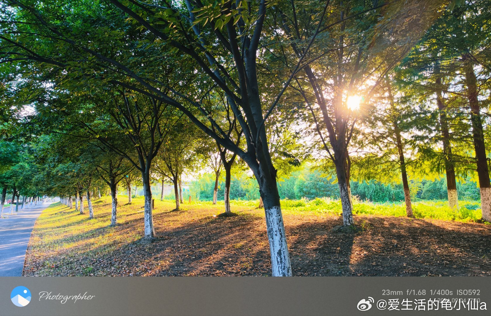 溜达就有收获
暮色#随手拍# 
好看的[围观][围观][围观]#九月##周末愉快##福建受灾严重#
可恶的台风
今年尽是听到这些不好的消息[奥特曼]#vivo[超话]# ​