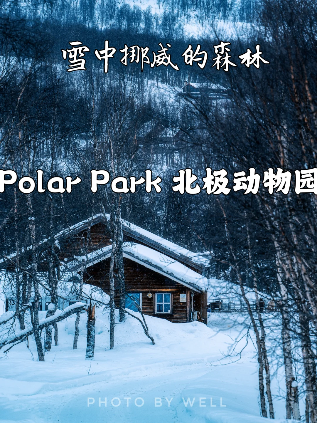 Polar Park 北极动物园——雪中挪威的森林