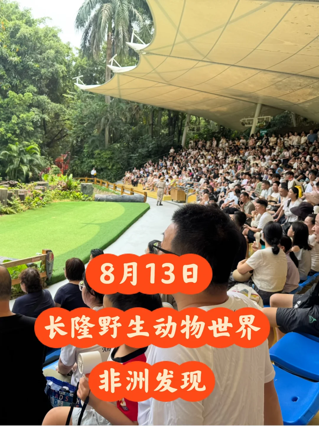 8月13日长隆野生动物园非洲发现