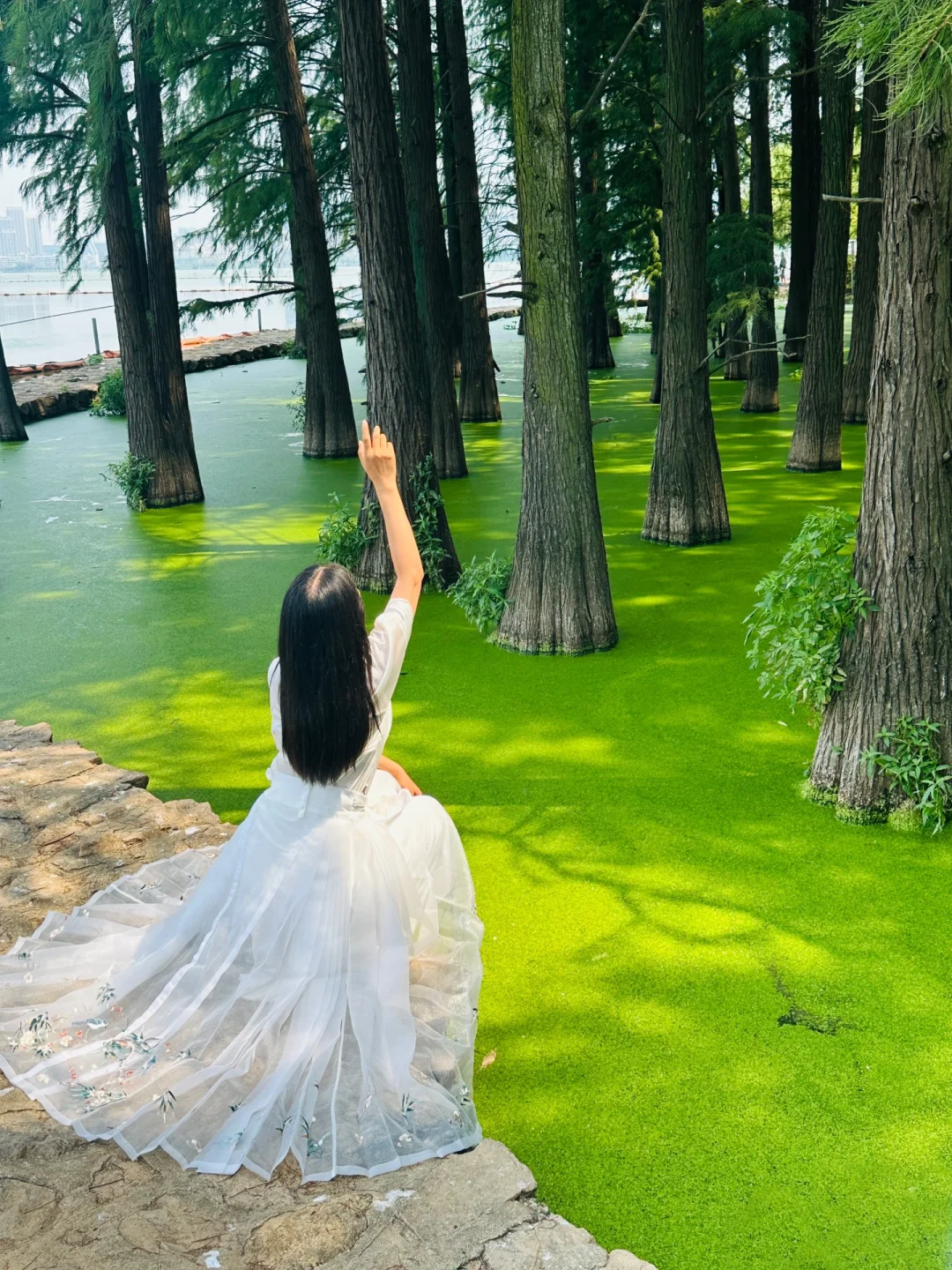 🟢我找到了现实版的绿野仙踪，Live 图好美🟢