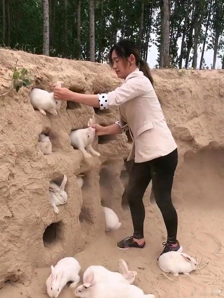 #最隐蔽的贫穷可能是没有犯错的余地#
因为穷，不能犯错，所以忍，所以不敢闯不敢拼？

AI没有token就只能停机，因为它的全部运行逻辑，100%是别人写死的，它连“我不想按这个规则跑”的念头都生不出来。

但你是人啊，你认为没有犯错余地的贫穷，根本不是兜里缺几枚钱币，
你手里的选择权被你自己锁死 ​