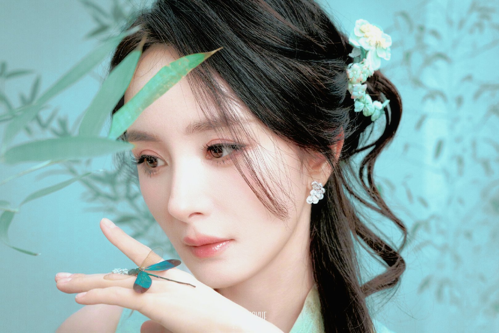 >BKT/杨幂

青花瓷 ​