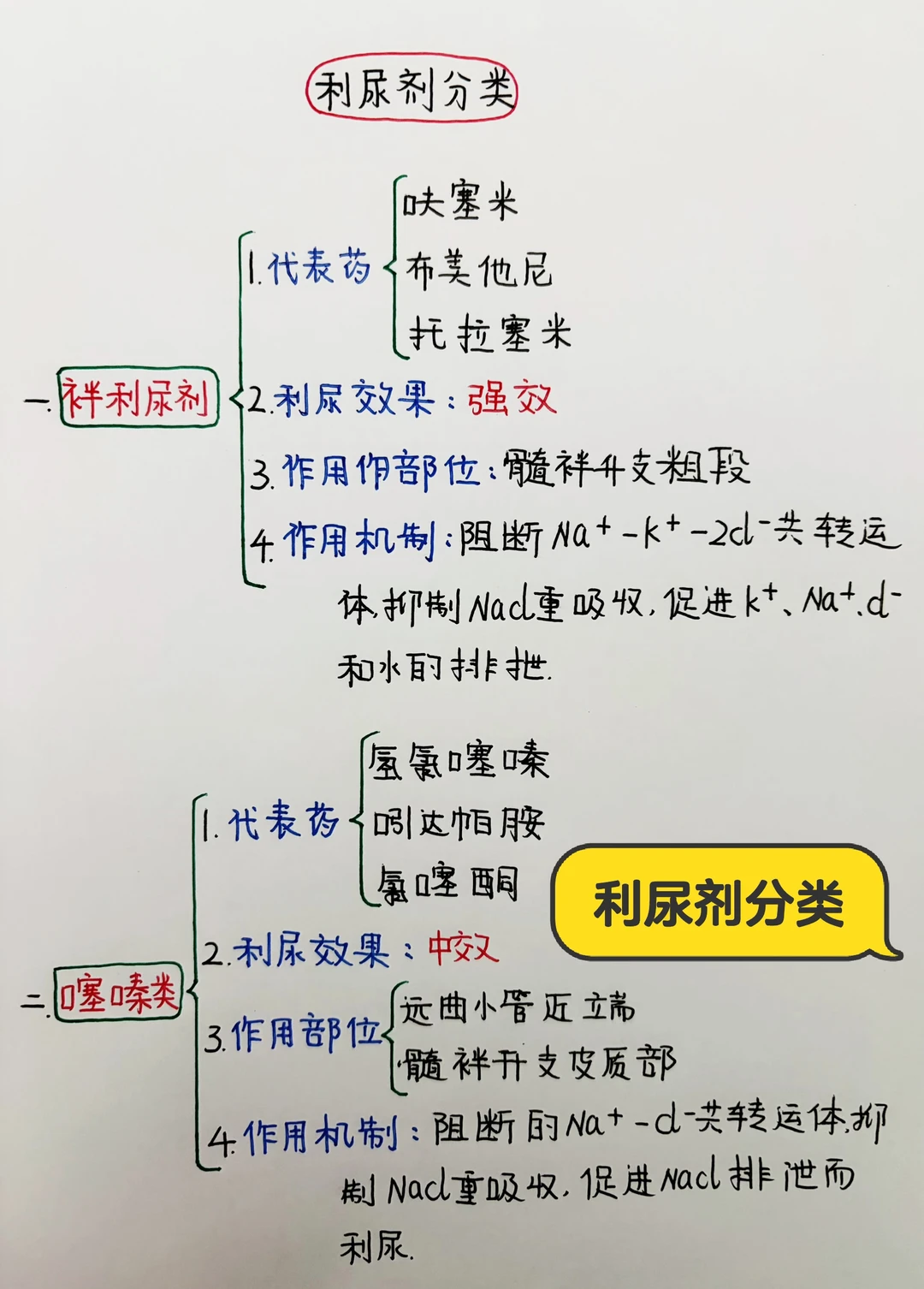 今日学习打卡——利尿剂分类