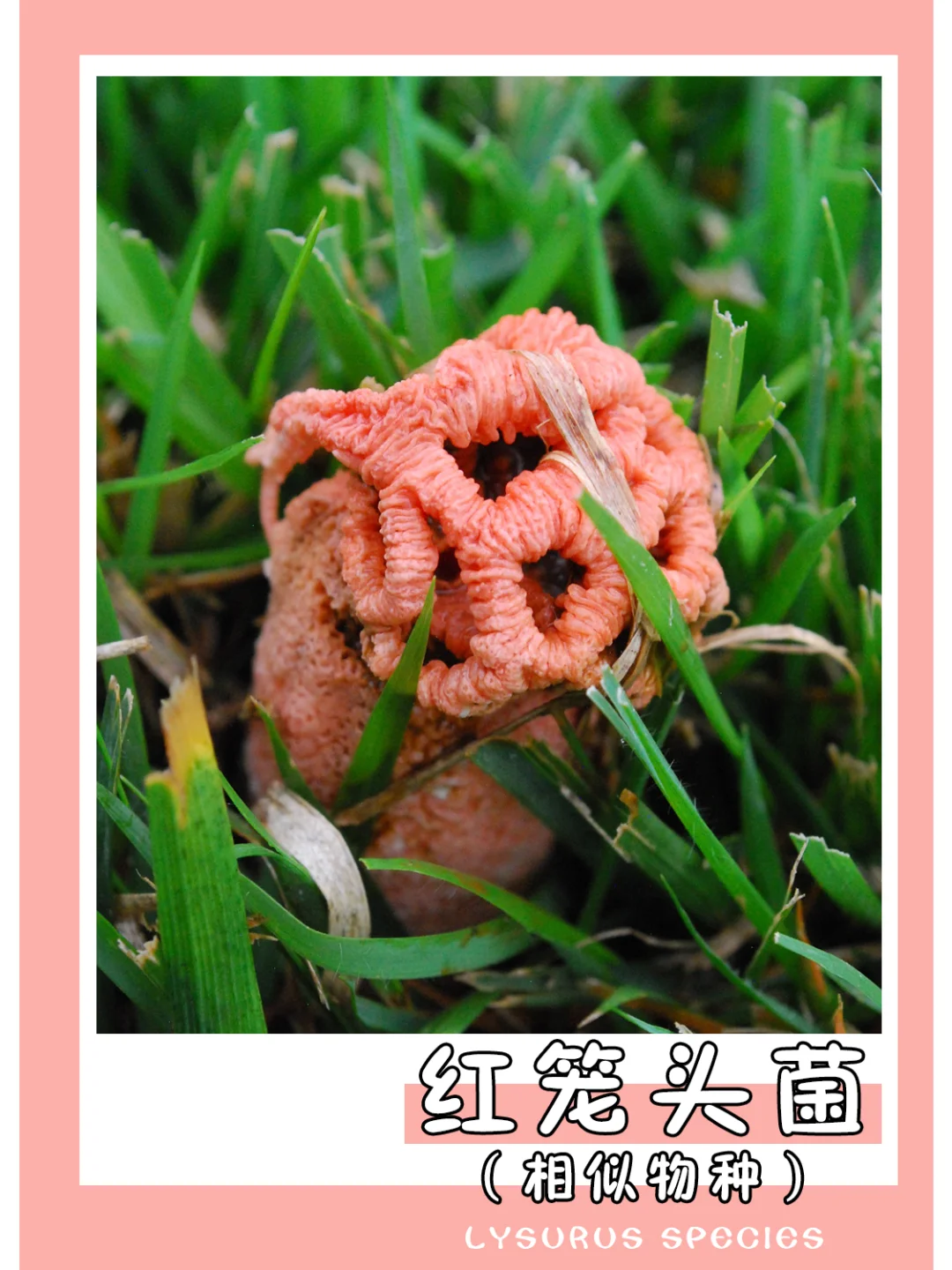 外型的话，自行体会哈~